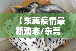 【东莞疫情最新动态/东莞最新消息 今天】