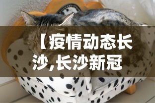 【疫情动态长沙,长沙新冠最新动态】 【疫情动态长沙,长沙新冠最新动态】