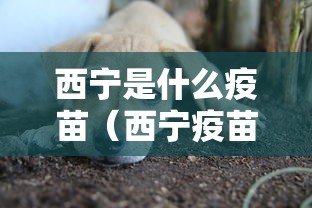 西宁是什么疫苗(西宁疫苗中心电话) 西宁是什么疫苗(西宁疫苗中心电话)