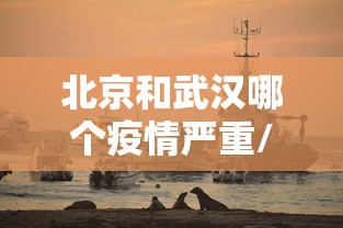 北京和武汉哪个疫情严重/武汉和北京那个历害