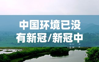 中国环境已没有新冠/新冠中国还有 中国环境已没有新冠/新冠中国还有