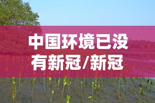 中国环境已没有新冠/新冠中国还有 中国环境已没有新冠/新冠中国还有