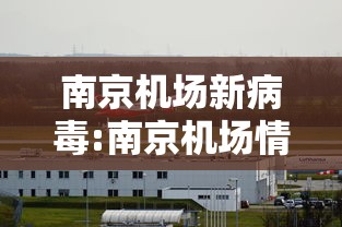 南京机场新病毒:南京机场情况 南京机场新病毒:南京机场情况