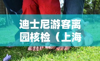 迪士尼游客离园核检(上海迪士尼入园需要身份证吗) 迪士尼游客离园核检(上海迪士尼入园需要身份证吗)