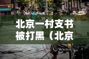 北京一村支书被打黑(北京村支书豪宅) 北京一村支书被打黑(北京村支书豪宅)