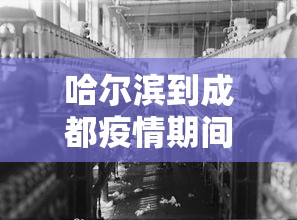 哈尔滨到成都疫情期间:哈尔滨到成都几个小时