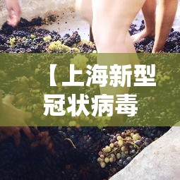 【上海新型冠状病毒/上海新冠病毒最新通知】 【上海新型冠状病毒/上海新冠病毒最新通知】