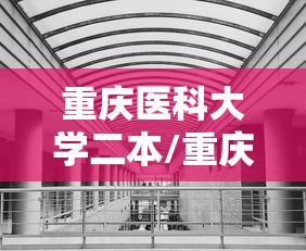重庆医科大学二本/重庆医科大学985211 重庆医科大学二本/重庆医科大学985211