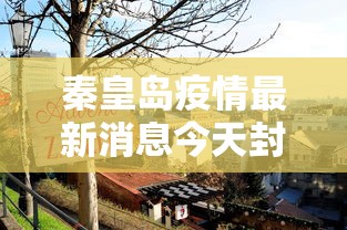 【北京单双号限行,北京单双号限行是真的吗】 【北京单双号限行,北京单双号限行是真的吗】