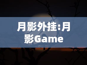 月影外挂:月影Game 月影外挂:月影Game