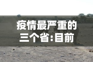 疫情最严重的三个省:目前疫情最严重的城市有哪些 疫情最严重的三个省:目前疫情最严重的城市有哪些