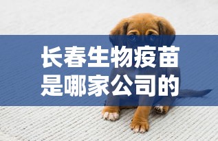 给大家讲解“超稳众娱大厅链接房卡充值”如何获取房卡教程