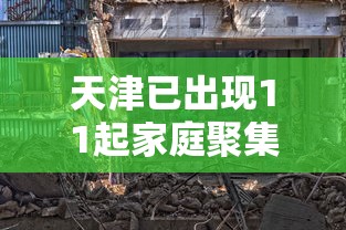 天津已出现11起家庭聚集疫情/天津一起 天津已出现11起家庭聚集疫情/天津一起