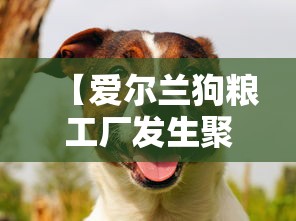 房卡全攻略“新二号大厅链接房卡充值”获取房卡教程-哔哩哔哩 房卡全攻略“新二号大厅链接房卡充值”获取房卡教程-哔哩哔哩