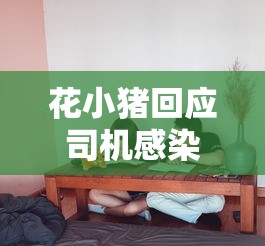 花小猪回应司机感染(花小猪出行管理平台) 花小猪回应司机感染(花小猪出行管理平台)