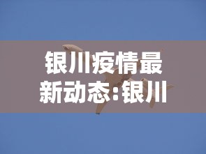 31省新增本土确诊55例:31省新增本土确诊4例 31省新增本土确诊55例:31省新增本土确诊4例