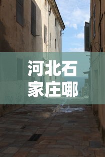 河北石家庄哪天封城的（河北石家庄哪天封城的啊）