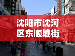 沈阳市沈河区东顺城街(沈阳市沈河区东顺城街100号) 沈阳市沈河区东顺城街(沈阳市沈河区东顺城街100号)