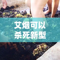 玩家攻略“微信玖天乐游链接牛牛房卡”详细房卡教程 玩家攻略“微信玖天乐游链接牛牛房卡”详细房卡教程