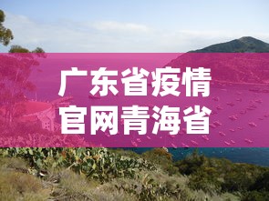 广东省疫情官网青海省最新消息/广东省新冠最新消息 广东省疫情官网青海省最新消息/广东省新冠最新消息