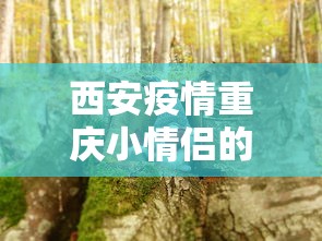 西安疫情重庆小情侣的简单介绍