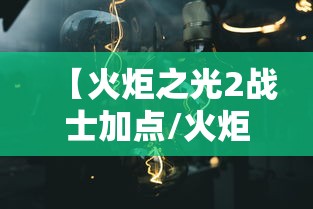 【火炬之光2战士加点/火炬之光2加点多少会溢出】