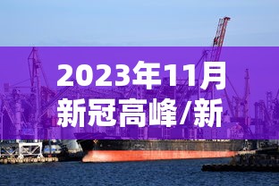 2023年11月新冠高峰/新冠肺炎2023年情况 2023年11月新冠高峰/新冠肺炎2023年情况