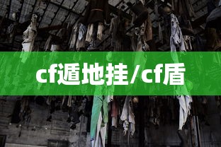 cf遁地挂/cf盾 cf遁地挂/cf盾