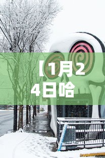 【1月24日哈尔滨疫情,哈尔滨疫情最新通知】