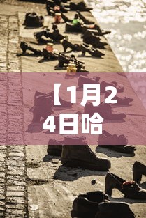 【1月24日哈尔滨疫情,哈尔滨疫情最新通知】