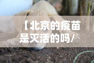 【北京的疫苗是灭活的吗/北京打的新冠疫苗叫什么名字】