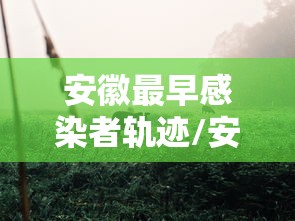 安徽最早感染者轨迹/安徽通报一例初筛阳性人员 安徽最早感染者轨迹/安徽通报一例初筛阳性人员