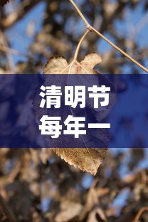 哈尔滨天津轨迹/哈尔滨t 哈尔滨天津轨迹/哈尔滨t