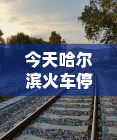今天哈尔滨火车停运了/哈尔滨停运火车信息查询