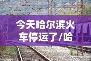 今天哈尔滨火车停运了/哈尔滨停运火车信息查询