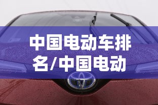 中国电动车排名/中国电动车排名次
