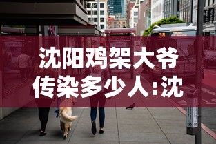 沈阳鸡架大爷传染多少人:沈阳鸡架大爷传染多少人病毒