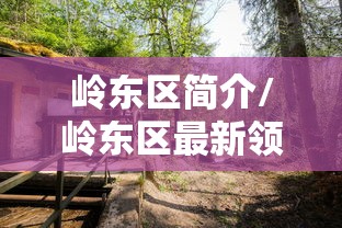 岭东区简介/岭东区最新领导班子名单 岭东区简介/岭东区最新领导班子名单