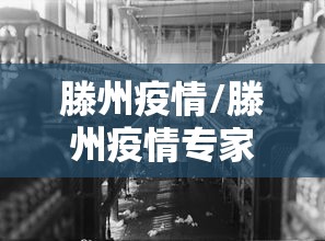 滕州疫情/滕州疫情专家 滕州疫情/滕州疫情专家