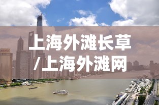 上海外滩长草/上海外滩网红打卡地 上海外滩长草/上海外滩网红打卡地