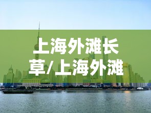 上海外滩长草/上海外滩网红打卡地 上海外滩长草/上海外滩网红打卡地