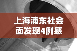 上海浦东社会面发现4例感染者(浦东发布动态更新) 上海浦东社会面发现4例感染者(浦东发布动态更新)