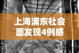 上海浦东社会面发现4例感染者(浦东发布动态更新) 上海浦东社会面发现4例感染者(浦东发布动态更新)