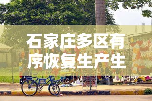 石家庄多区有序恢复生产生活秩序/2020年到2021年3月石家庄疫情解封了吗