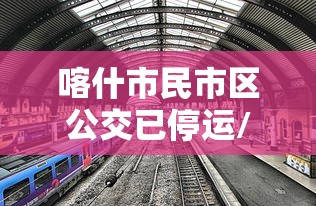 喀什市民市区公交已停运/喀什公交公司客服电话号码 喀什市民市区公交已停运/喀什公交公司客服电话号码