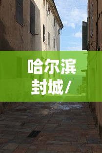 哈尔滨封城/哈尔滨今天封闭情况查询 哈尔滨封城/哈尔滨今天封闭情况查询