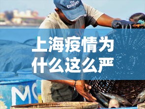 上海疫情为什么这么严重(上海最近因为什么管控了) 上海疫情为什么这么严重(上海最近因为什么管控了)