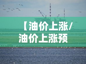 【油价上涨/油价上涨预测】 【油价上涨/油价上涨预测】