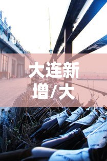 大连新增/大连新增4例无症状感染者