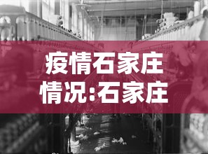 疫情石家庄情况:石家庄新冠疫情最新今天的消息 疫情石家庄情况:石家庄新冠疫情最新今天的消息